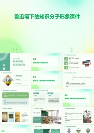 鲁迅笔下的知识分子形象课件