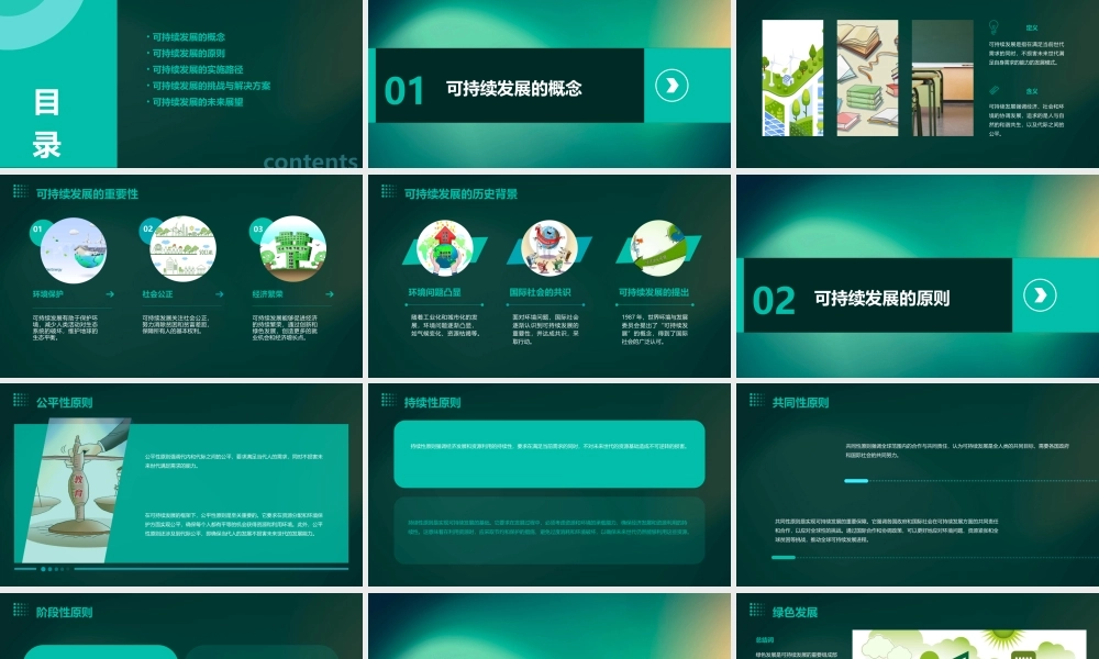 鲁教版思品九年《走可持续发展之路》课件