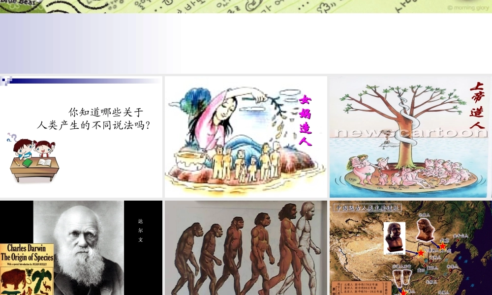 第1课祖国境内的远古居民