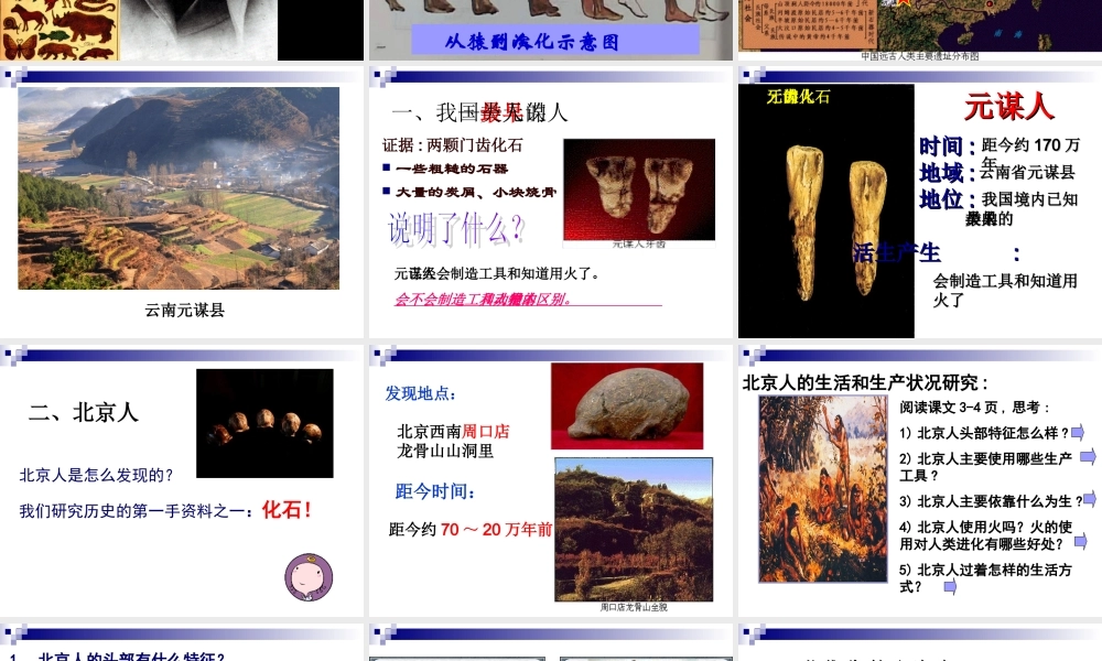 第1课祖国境内的远古居民