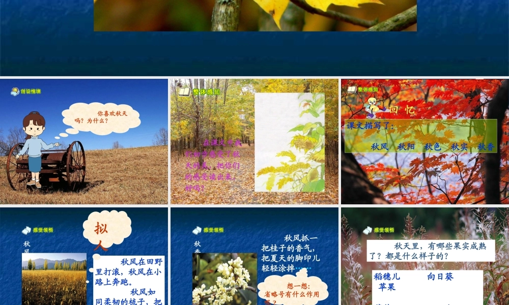 苏教版四年级上册语文秋天