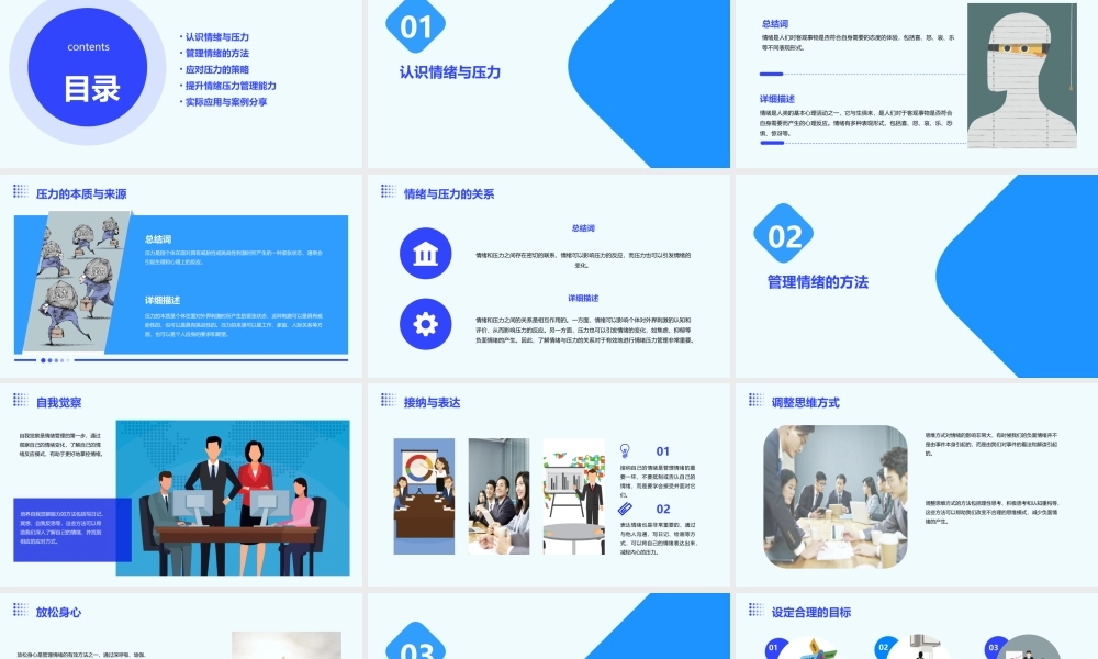 鲁念情绪压力管理中华讲师网课件