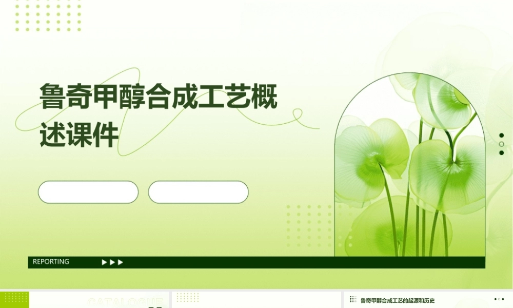 鲁奇甲醇合成工艺概述课件