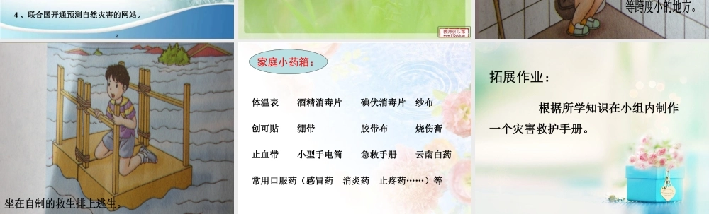 灾害的预防与救护