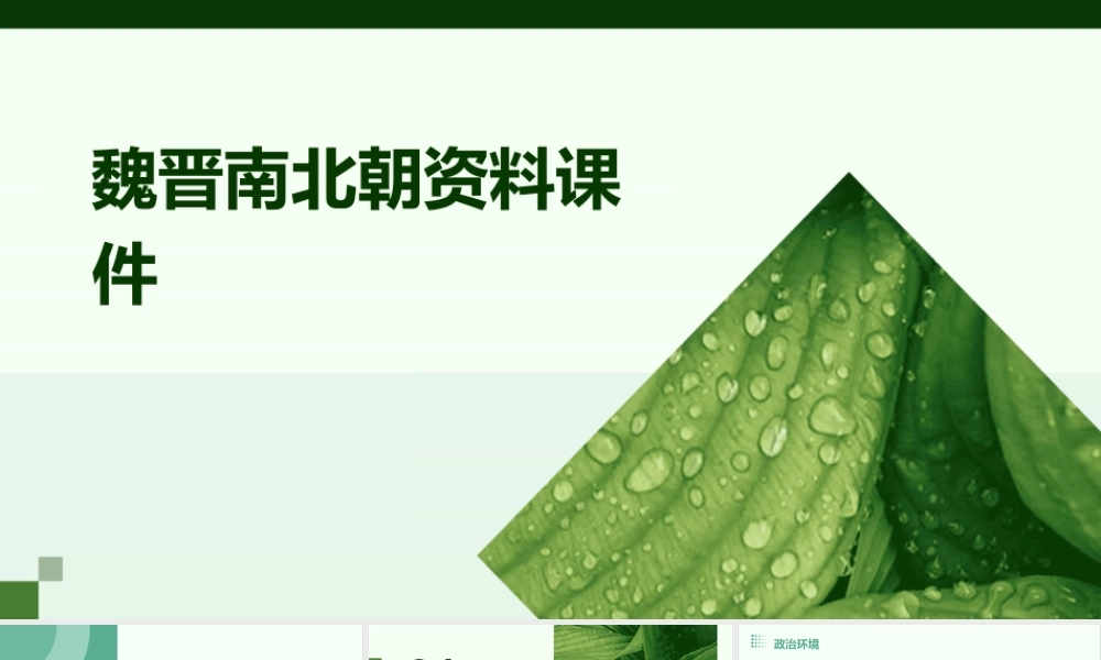 魏晋南北朝资料课件