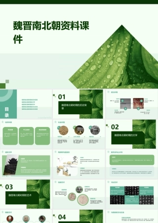 魏晋南北朝资料课件