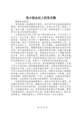 党小组会议上的发言稿_3