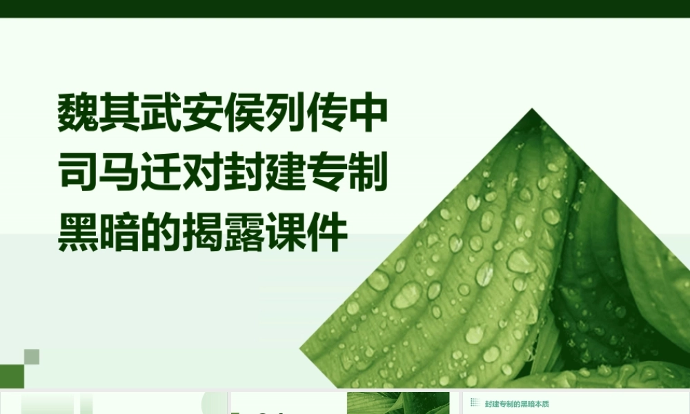 魏其武安侯列传中司马迁对封建专制黑暗的揭露课件