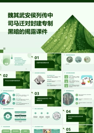 魏其武安侯列传中司马迁对封建专制黑暗的揭露课件