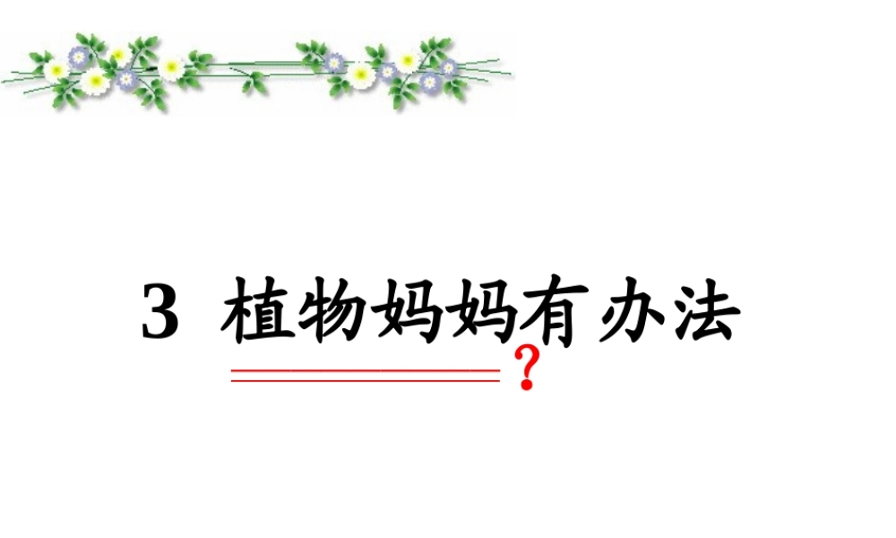 《植物妈妈有办法》课件 (2)