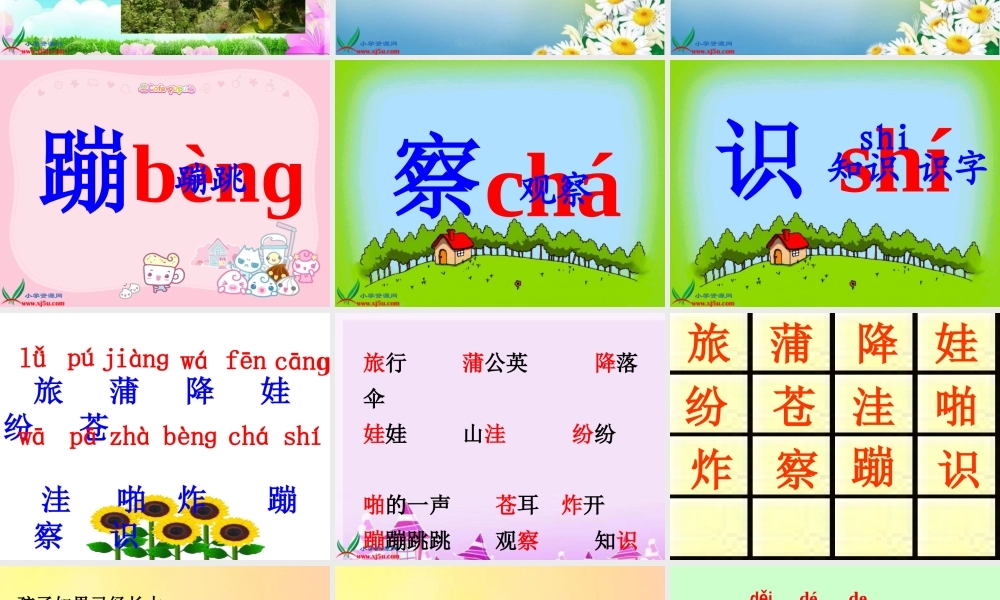 《植物妈妈有办法》课件 (2)