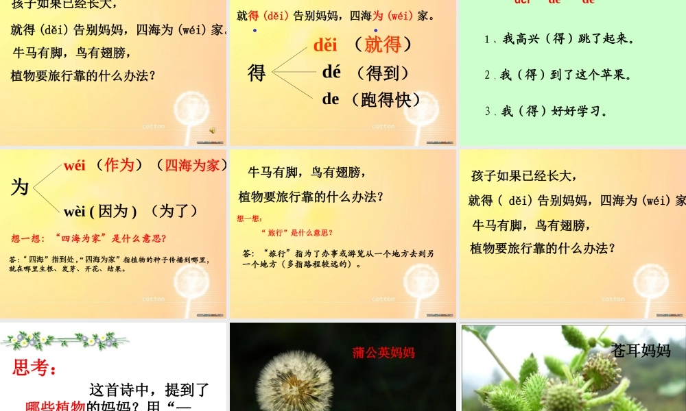 《植物妈妈有办法》课件 (2)