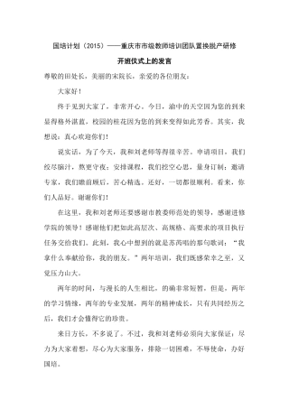 项目负责人发言