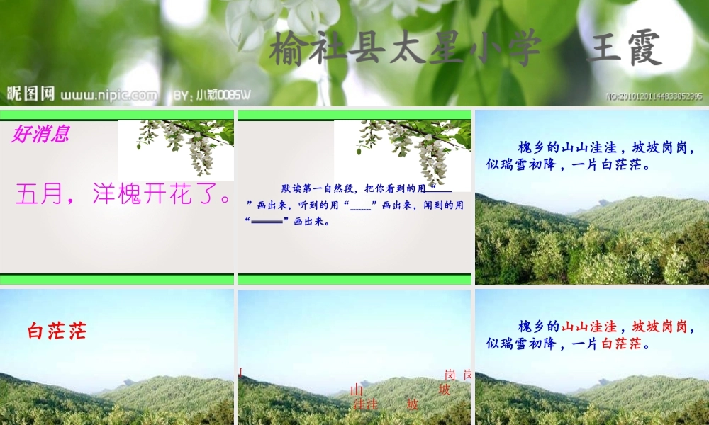三年级语文下册第七组2槐乡五月第二课时课件