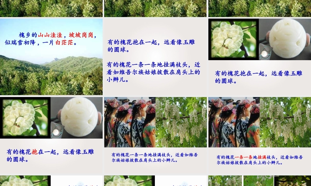 三年级语文下册第七组2槐乡五月第二课时课件
