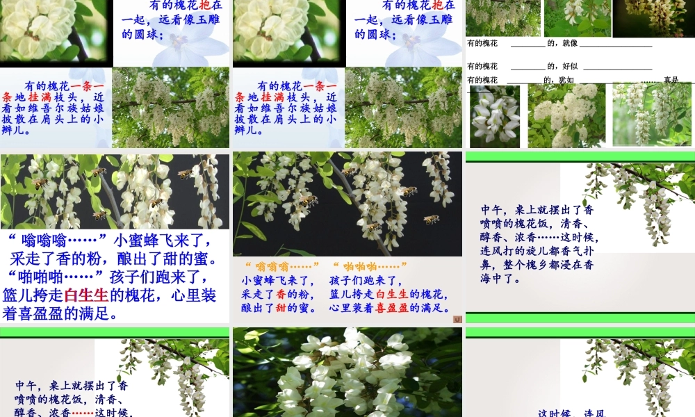 三年级语文下册第七组2槐乡五月第二课时课件