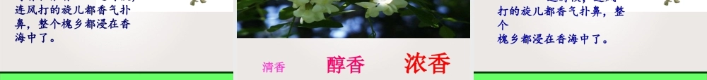 三年级语文下册第七组2槐乡五月第二课时课件