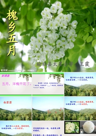 三年级语文下册第七组2槐乡五月第二课时课件