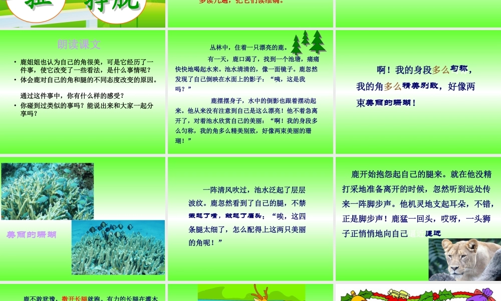 《狮子和鹿》教学课件