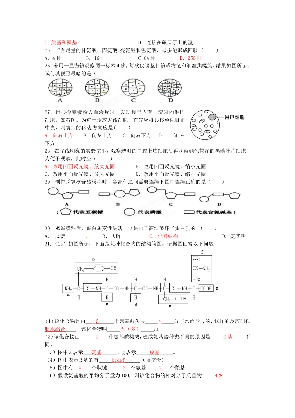 高一期中考试题_第3页