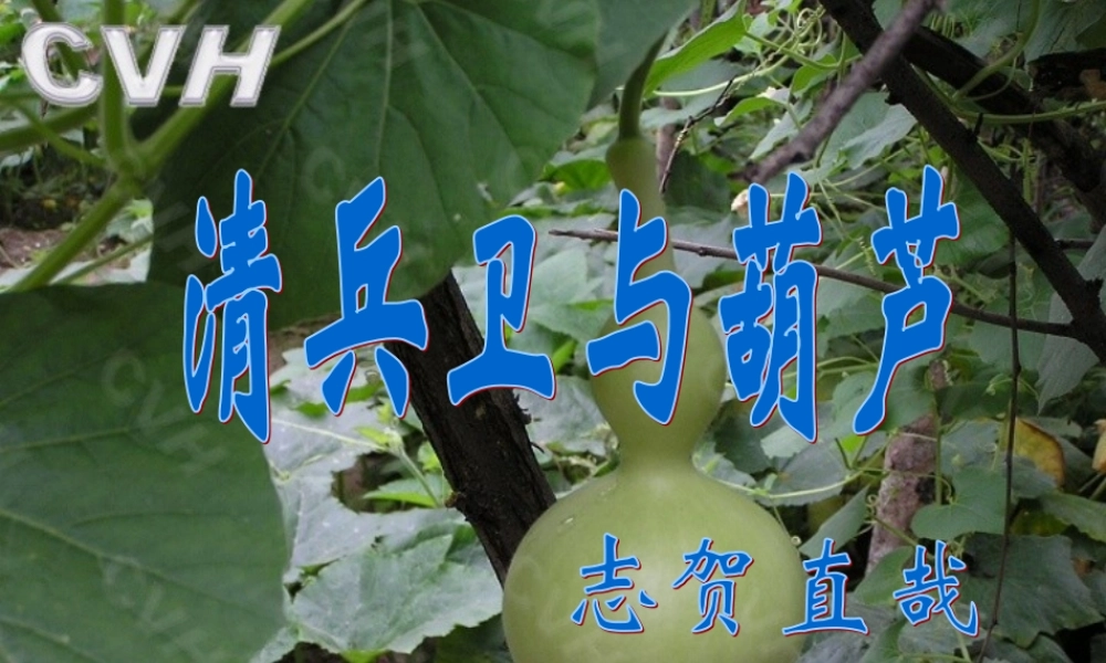 人教版-选修-《外国小说欣赏》《清兵卫与葫芦》