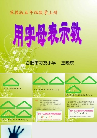 用字母表示苏教版数学w五年级上册《用字母表示数》PPT课件-副本(2)