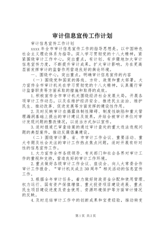 审计信息宣传工作计划