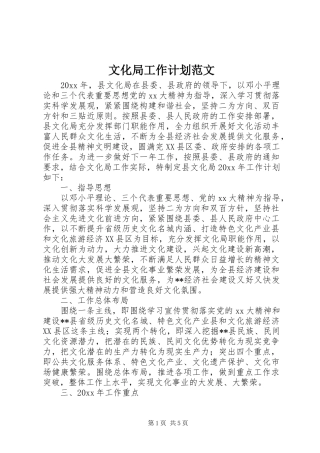 文化局工作计划范文