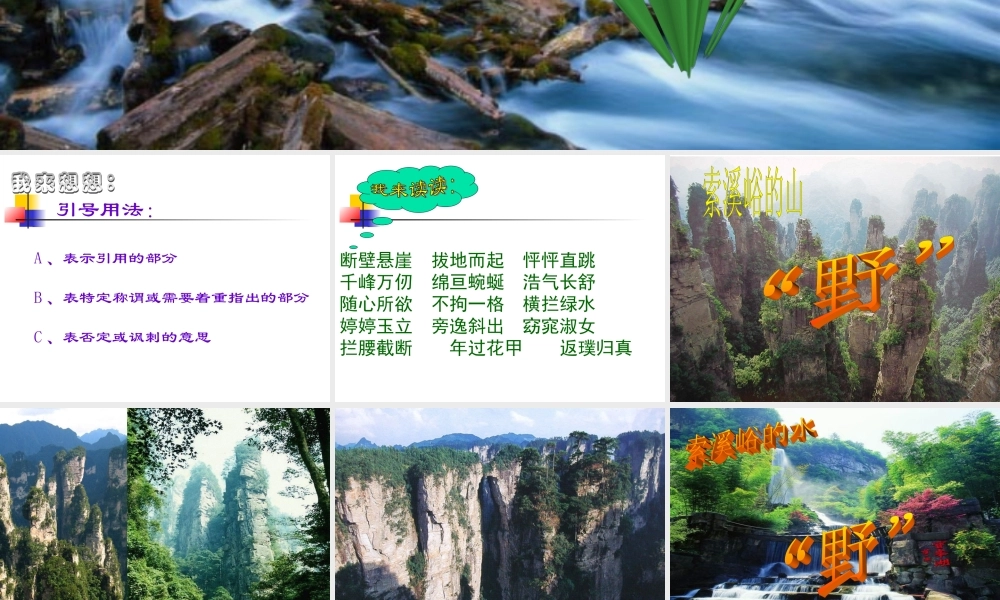 《索溪峪的“野”》课件4