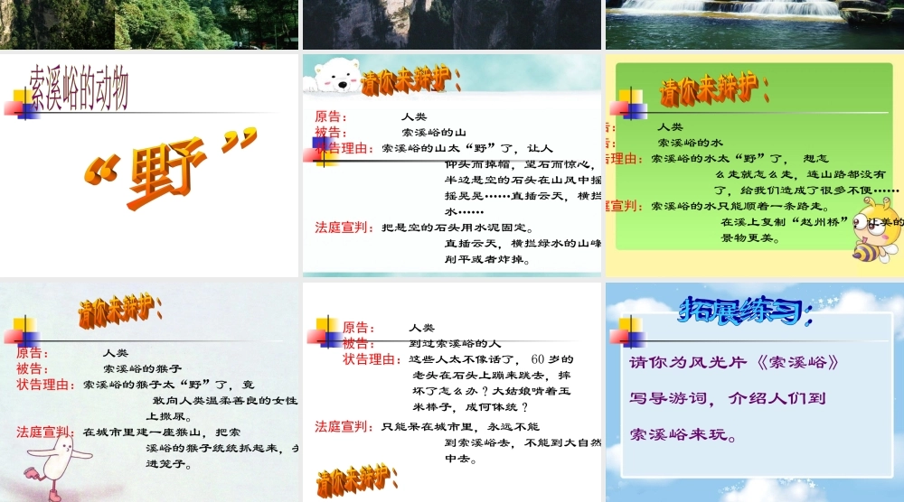《索溪峪的“野”》课件4
