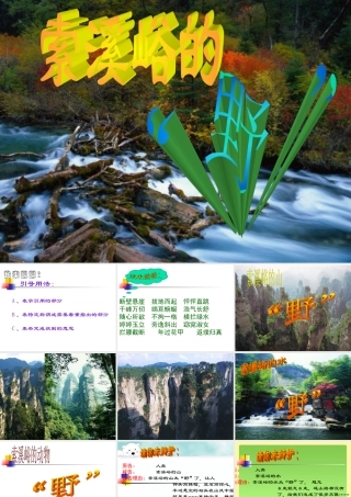 《索溪峪的“野”》课件4