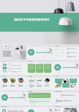 骆驼祥子中的景物描写课件