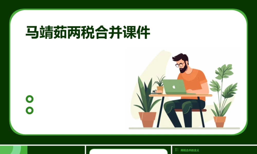 马靖茹两税合并课件