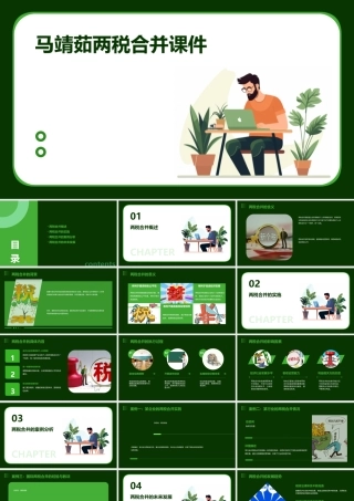 马靖茹两税合并课件