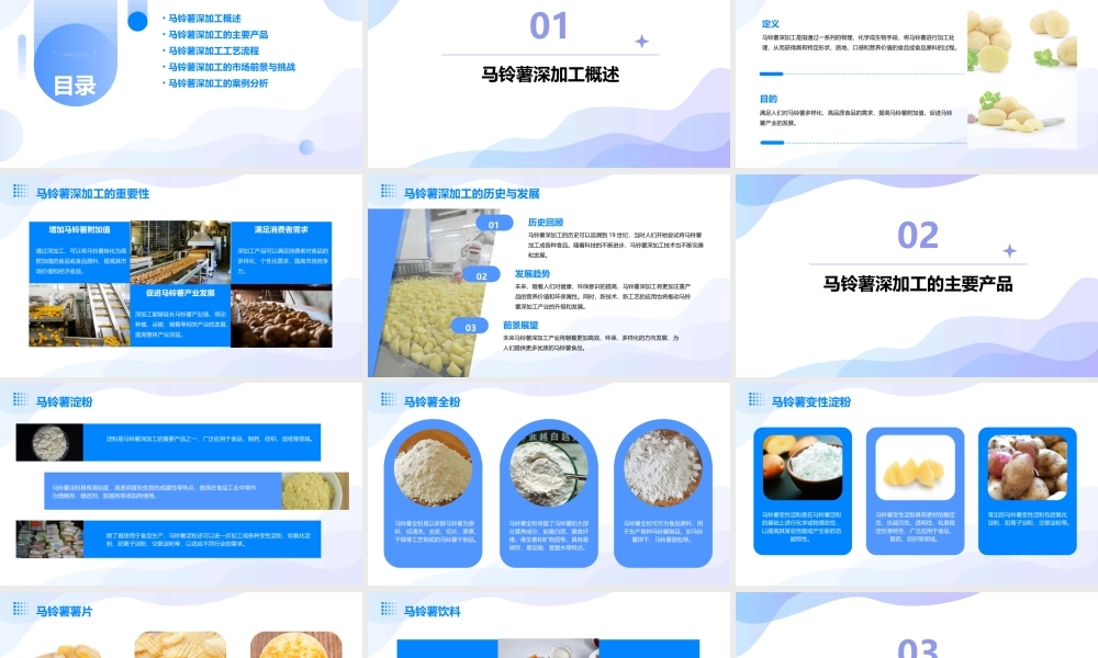 马铃薯深加工简析课件