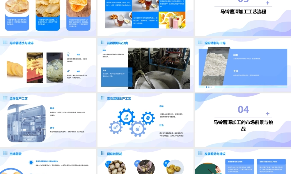 马铃薯深加工简析课件