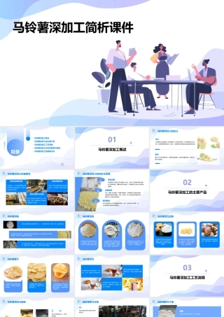 马铃薯深加工简析课件