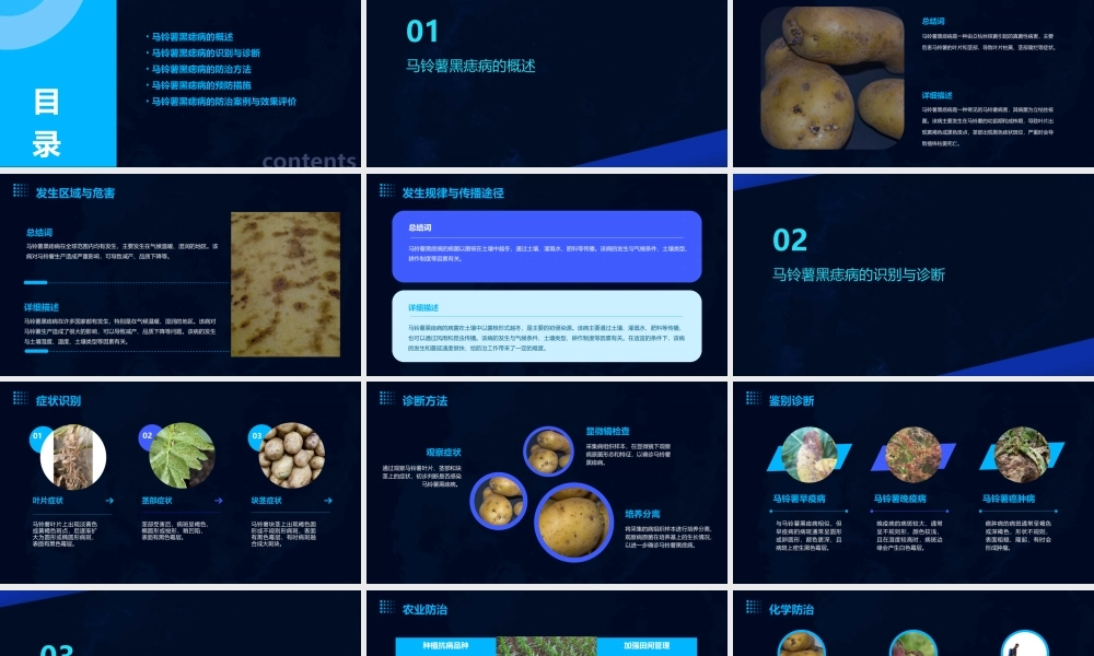 马铃薯黑痣病的发生与防治课件