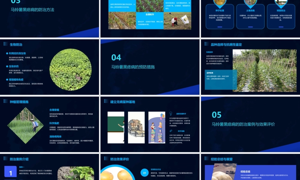 马铃薯黑痣病的发生与防治课件