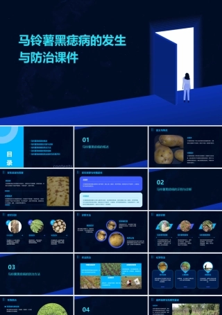 马铃薯黑痣病的发生与防治课件