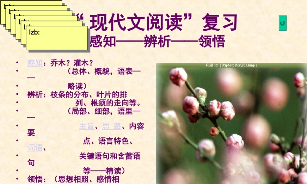 中考现代文阅读复习