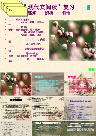 中考现代文阅读复习