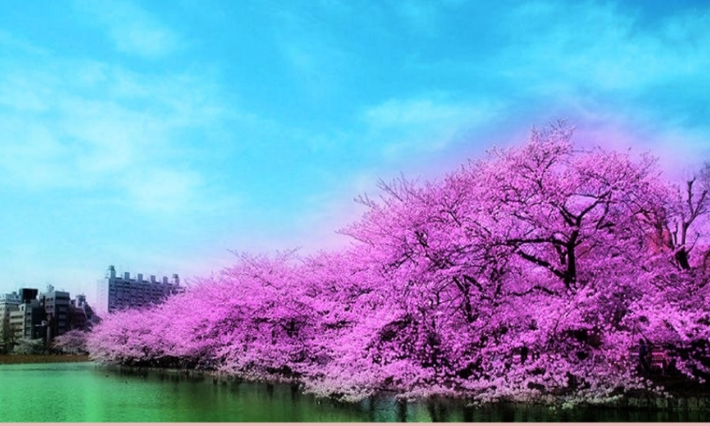 哲学史上的伟大变革