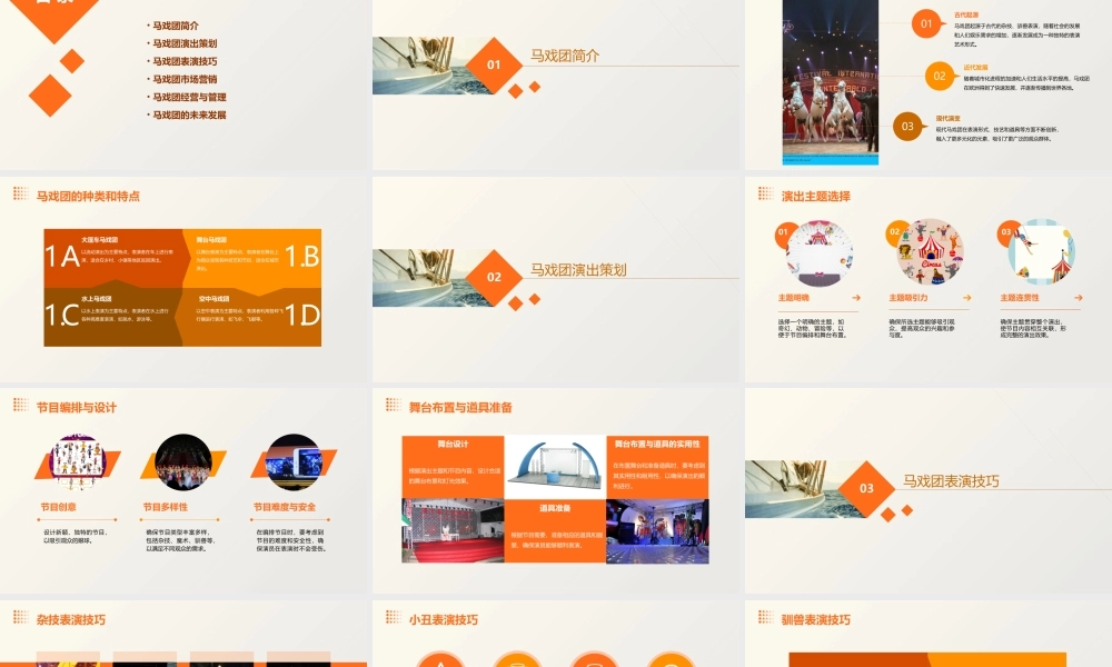 马戏团演出方案通用课件