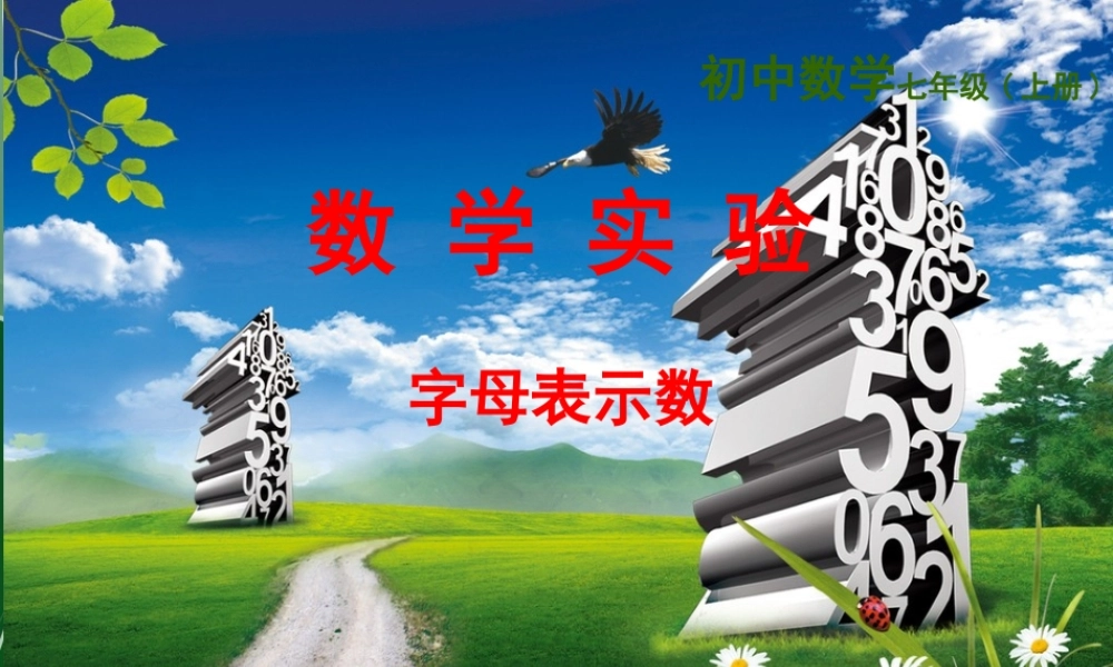 数学实验：字母表示数