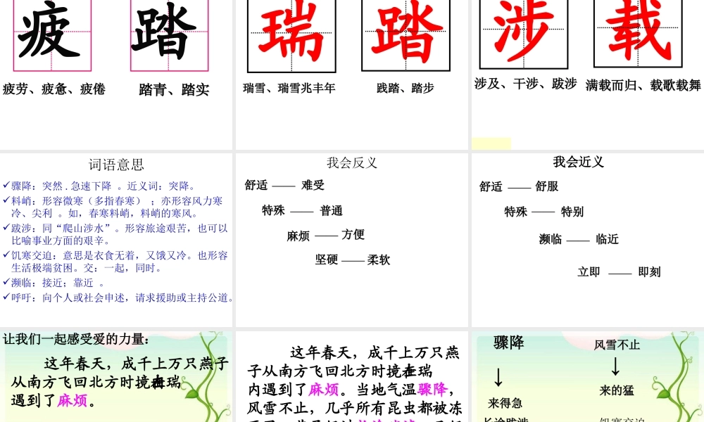 第6课燕子专列