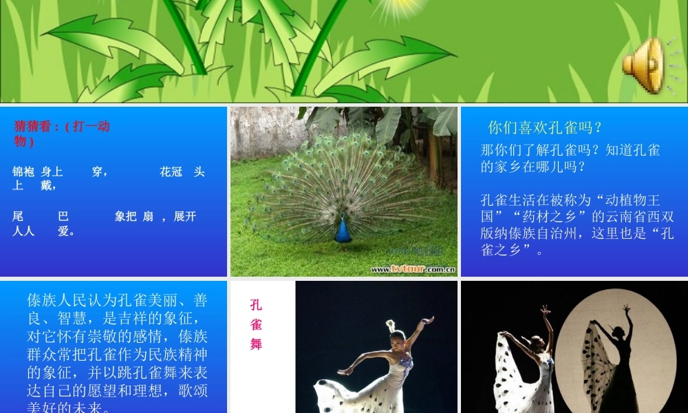 人音版音乐二上《金孔雀轻轻跳》课件1