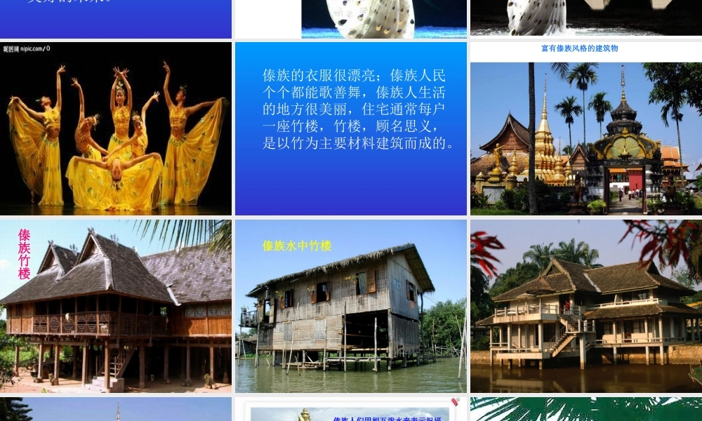 人音版音乐二上《金孔雀轻轻跳》课件1