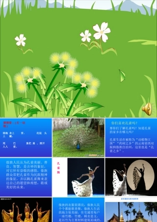 人音版音乐二上《金孔雀轻轻跳》课件1