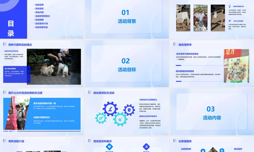 香洲创文——流浪动物领养开放日策划案课件